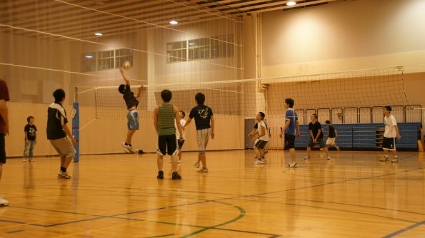 SONY DSC